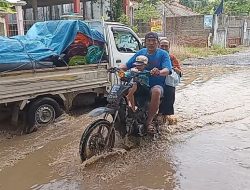 Tak Kunjung Diperbaiki! Begini Penampakan Jalan Blanakan-Cilamaya di Desa Rawamekar