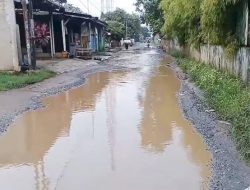 Jalan Alternatif  Penghubung Antar Kabupaten di Pantura Rusak, Hambat Perekonomian Warga