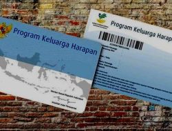 Begini Cara Cek Saldo PKH Lewat HP Android dengan Mudah