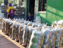 Penangkar Benih Nakal Luput Dari Tindakan BPSB