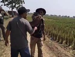 Diduga Oknum Densus 88 Cakar Tukang Bebek di Sawah PT.Sanghyang Seri Sukamandi
