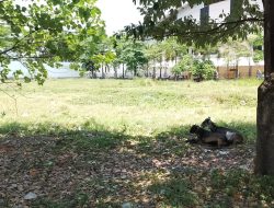 Ketua Komisi lll Setuju Lahan Kosong Sebelah Kantor Disporaparbud Dijadikan Lahan Parkir