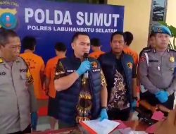 4 Tersangka di Ringkus Satreskrim Polres Labusel Dari 9 Tersangka Pelaku Pencurian Dengan Kekerasan Kelapa Sawit