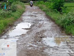 Tak Kunjung Diperbaiki, Warga Bojong Muara Keluhkan Jalan Seperti Kubangan Kerbau