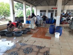 Pasokan Ikan ke Pelelangan Anjlok Dampak Parahnya Sedimentasi Saluran