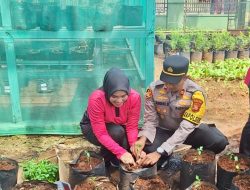 Dukung Ketahanan Pangan dan MBG, Polsek Blanakan Subang Launching Penguatan Program Pekarangan Pangan Lestari