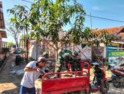 Material Tambahan Tiba, Satgas TMMD Percepat Rehab Rutilahu di Muara Lama
