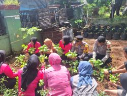 Polsek Blanakan Bersama Bhayangkari Laksanakan Panen Program P2L Dalam Rangka Mendukung Ketahanan Pangan