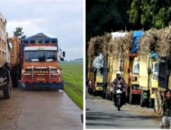 Akankah Mobil Besar Angkutan Tanah Merah, dan Angkutan Tebu Ditertibkan
