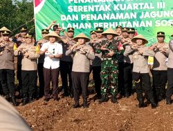 Penanaman Jagung Serentak Kuartal 3 dan Penanaman Jagung di lahan Perhutanan Sosial