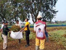 KAPOLSEK BLANAKAN PIMPIN LANGSUNG GIAT KERJA BAKTI SOSIAL BERSAMA APARAT PEMERINTAH KECAMATAN DAN DESA SEKECAMATAN BLANAKAN