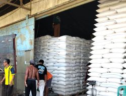 Bulog Masih Butuh Padi Petani