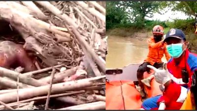 Warga Parung Subang ditemukan Mengambang di sungai Ciasem Desa Dukuh