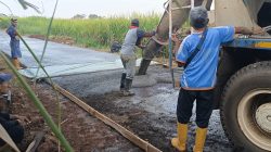 Pemdes Pasir Muncang Realisasikan Anggaran DD Bangun Jalan Cor Beton