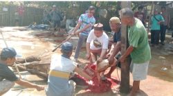 Panitia Qurban Masjid Al Hidayah Sukses Digelar