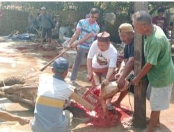 Panitia Qurban Masjid Al Hidayah Sukses Digelar