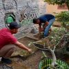 Jumat Bersih di Kantor Camat Purwadadi Wujudkan Lingkungan Kerja Bersih, Nyaman, dan Penuh Kebersamaan